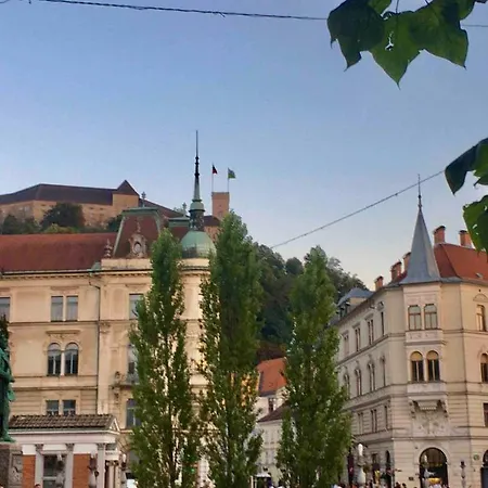 Haru * Ljubljana